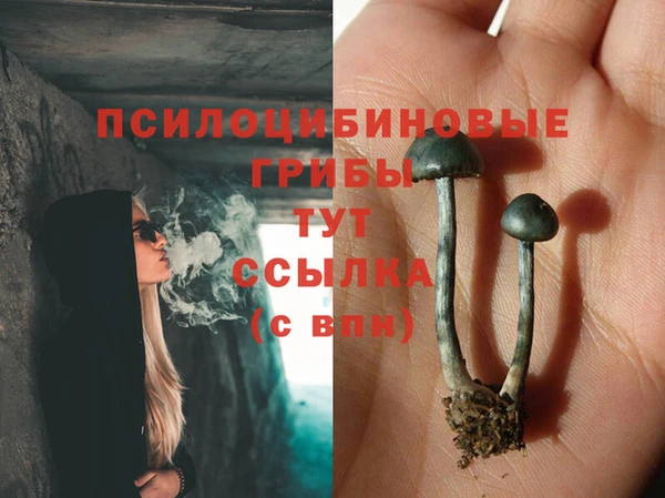 а пвп мука Михайлов